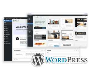 Best Ecommerce Website Designer Company, Best Ecommerce Website Designer Company Best Ecommerce Website Designer Company: Hiya Digital